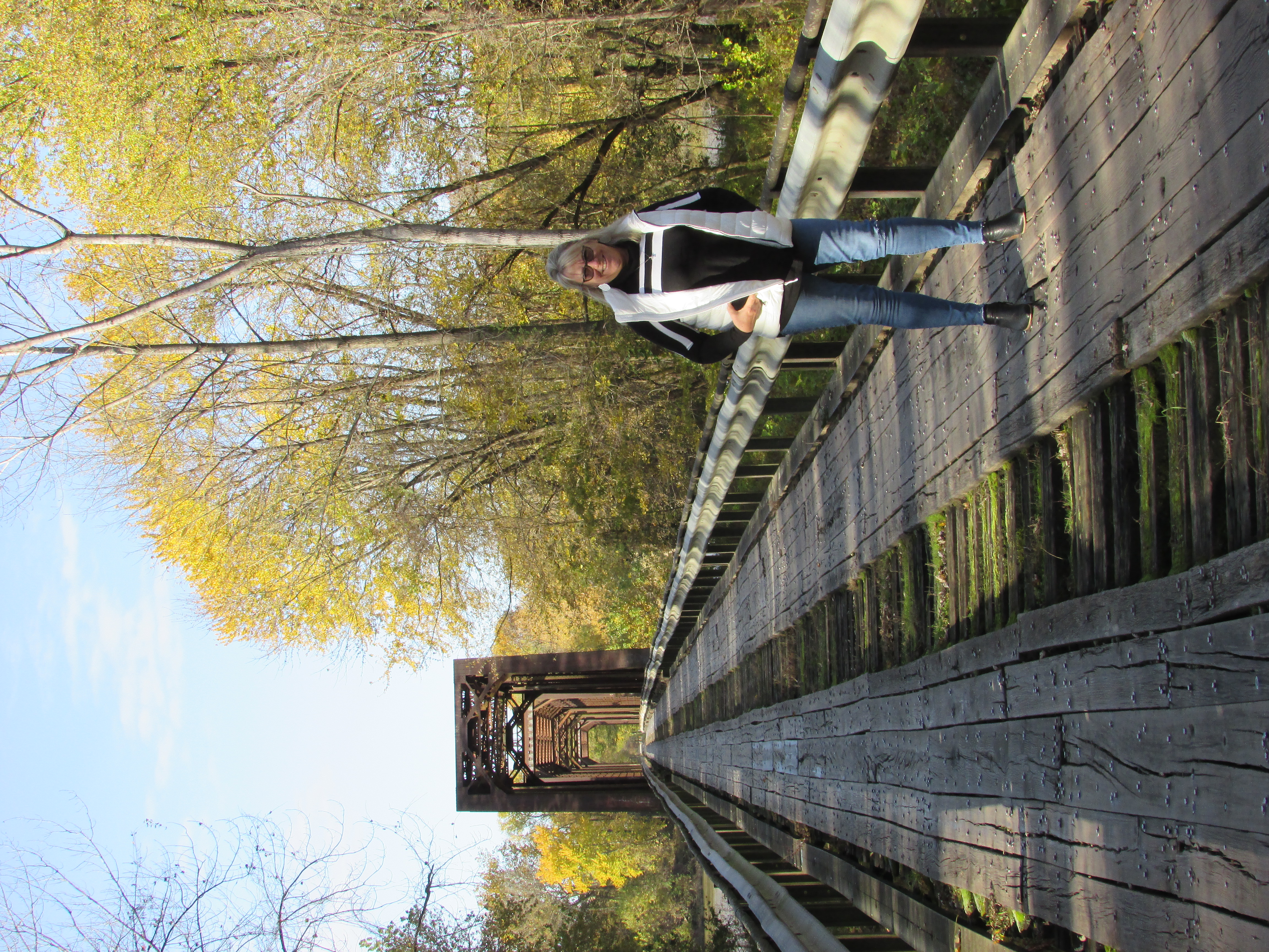 Wabash Cannonball Bridge